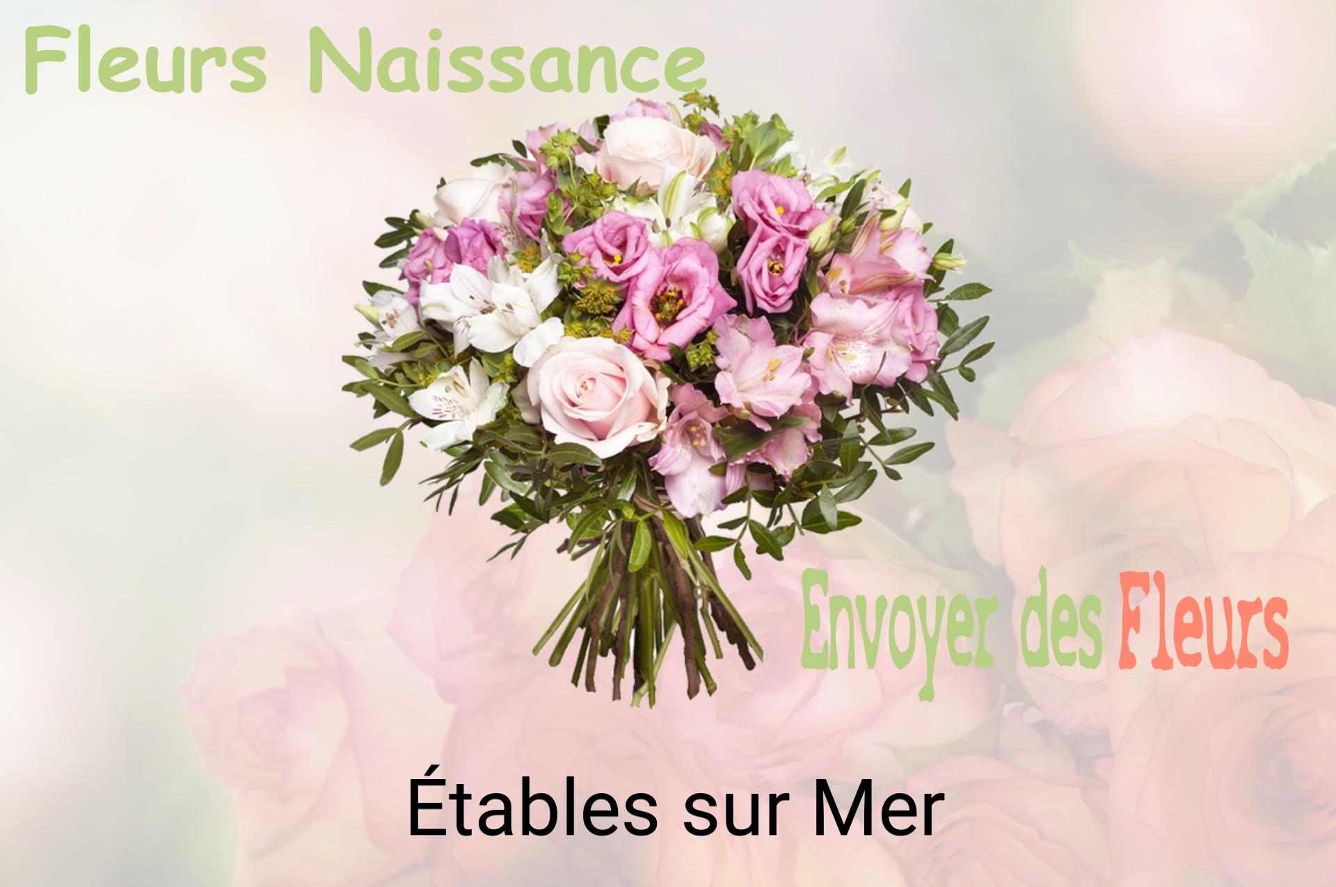 Bouquet de fleurs de naissance livré à Étables-sur-Mer